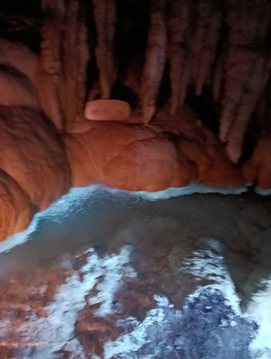 🌸弓ぽん🌸 tweet media