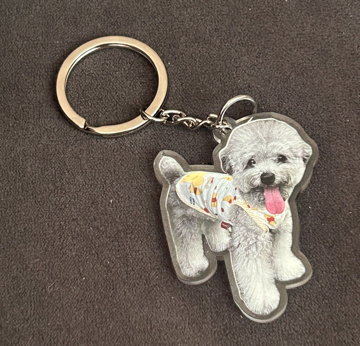 💖😻최ᩚ고ᩚ의ᩚ 고ᩚ냐ᩚ디ᩚ 🐶🎀 tweet media