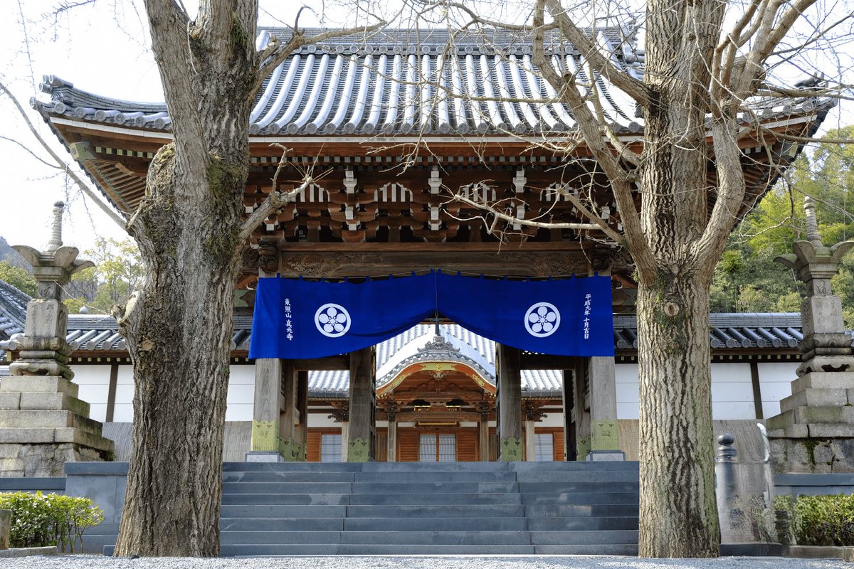 OfficeS20210916's tweet image. Finding inner peace at Shinko-ji Temple in Niihama. 🌿 This spiritual sanctuary is a hidden gem where the rustling leaves and quiet atmosphere heal your soul. The perfect spot for a mindfulness retreat in Ehime.

#Shinkoji #Niihama #Ehime #PowerSpot #Zen #JapanTravel