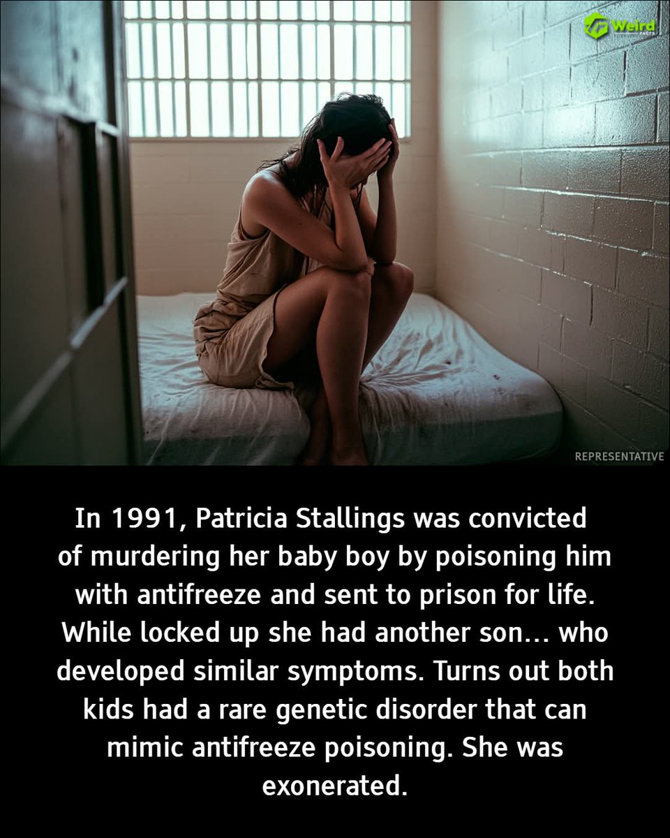 Sassafrass84 tweet media