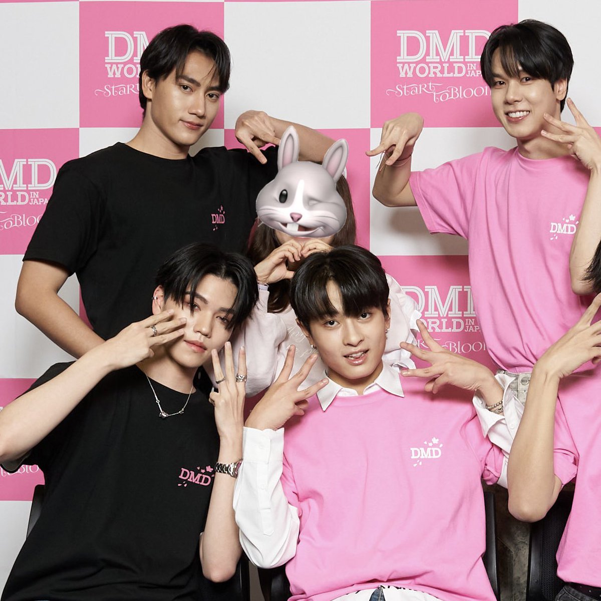 Kapimimew🐰 tweet media