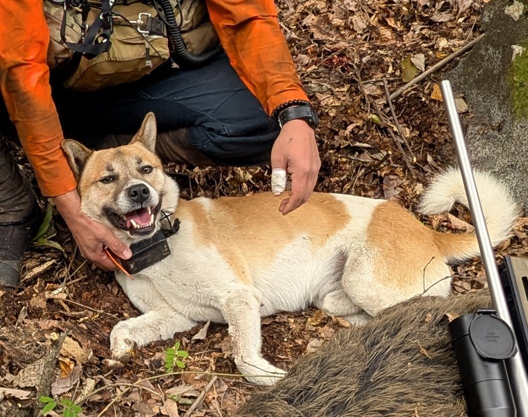 yama-scout tweet media