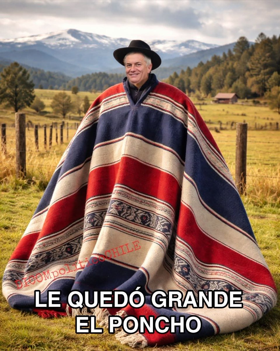 SiempreViva tweet media