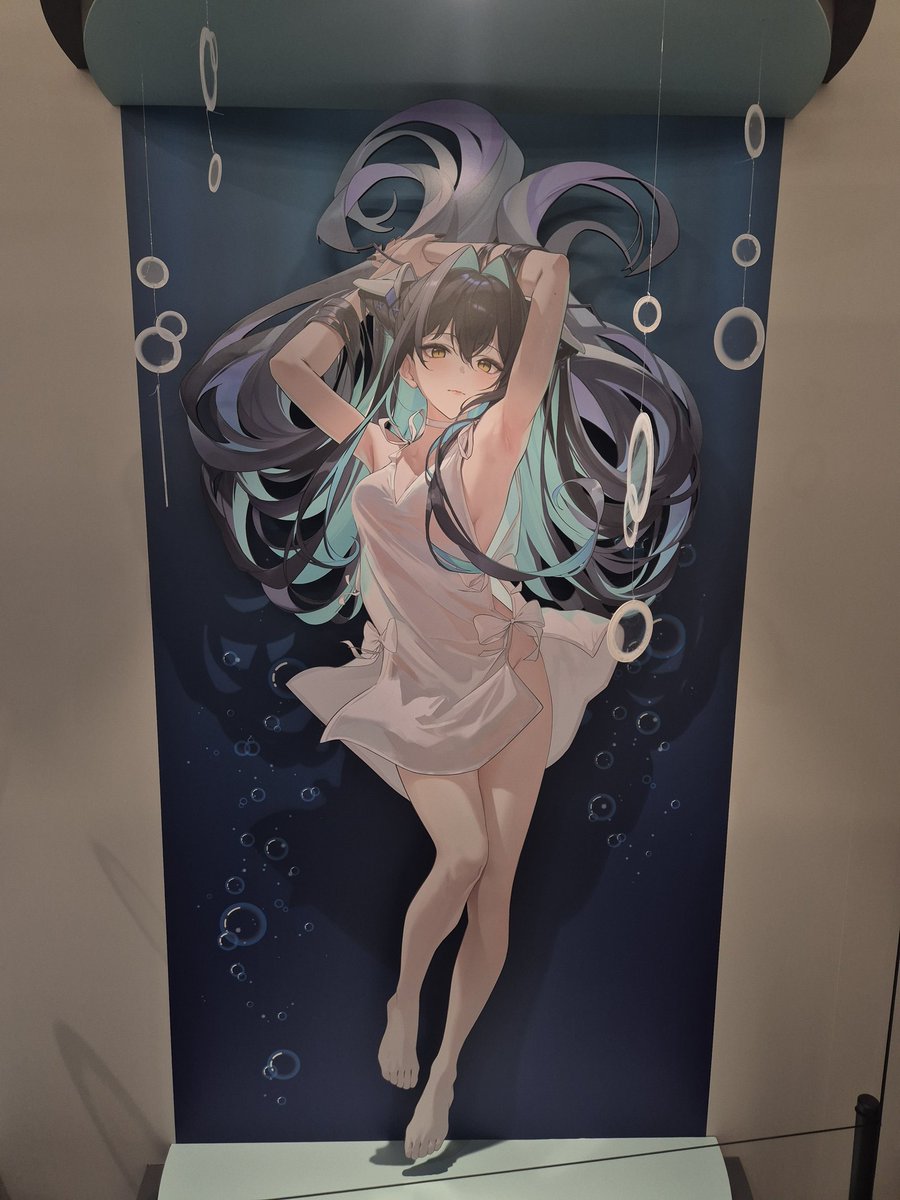 사진사 기로엘 tweet media