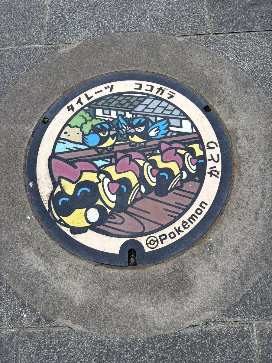 さつき3/31ポケパークカントー遠征 tweet media