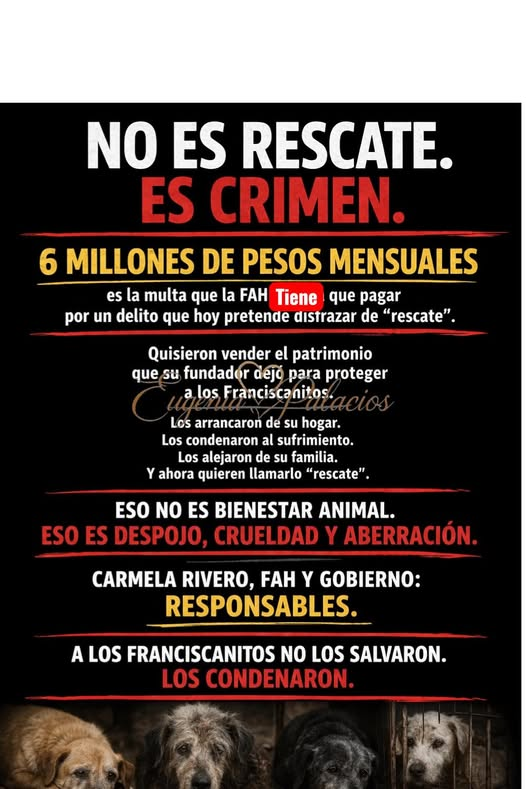 salem saberhagen tweet media