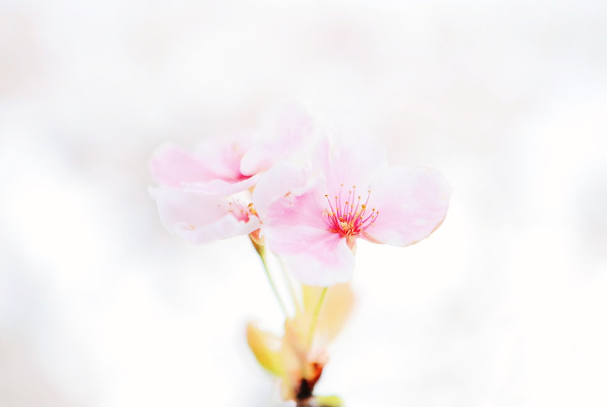 GENERATIONS tweet media