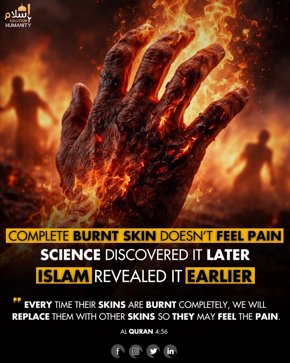 Haleema Abubakar🌹 tweet media