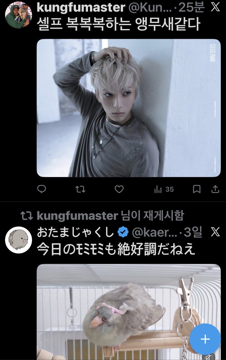 kungfumaster tweet media