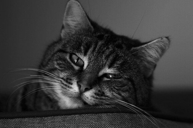 Scott Schaffer tweet media