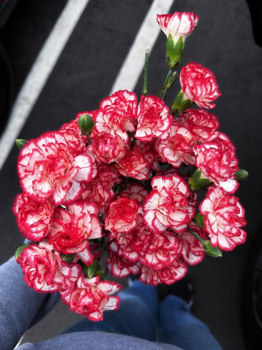 Literarium24's tweet photo. Dear Algorithm,
Please show these photos to people who will appreciate flowers 🌸✨ https://t.co/J6sBf6djqe
