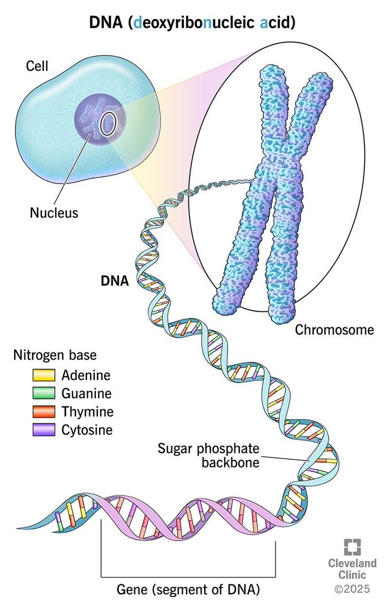 UnPsyoped tweet media