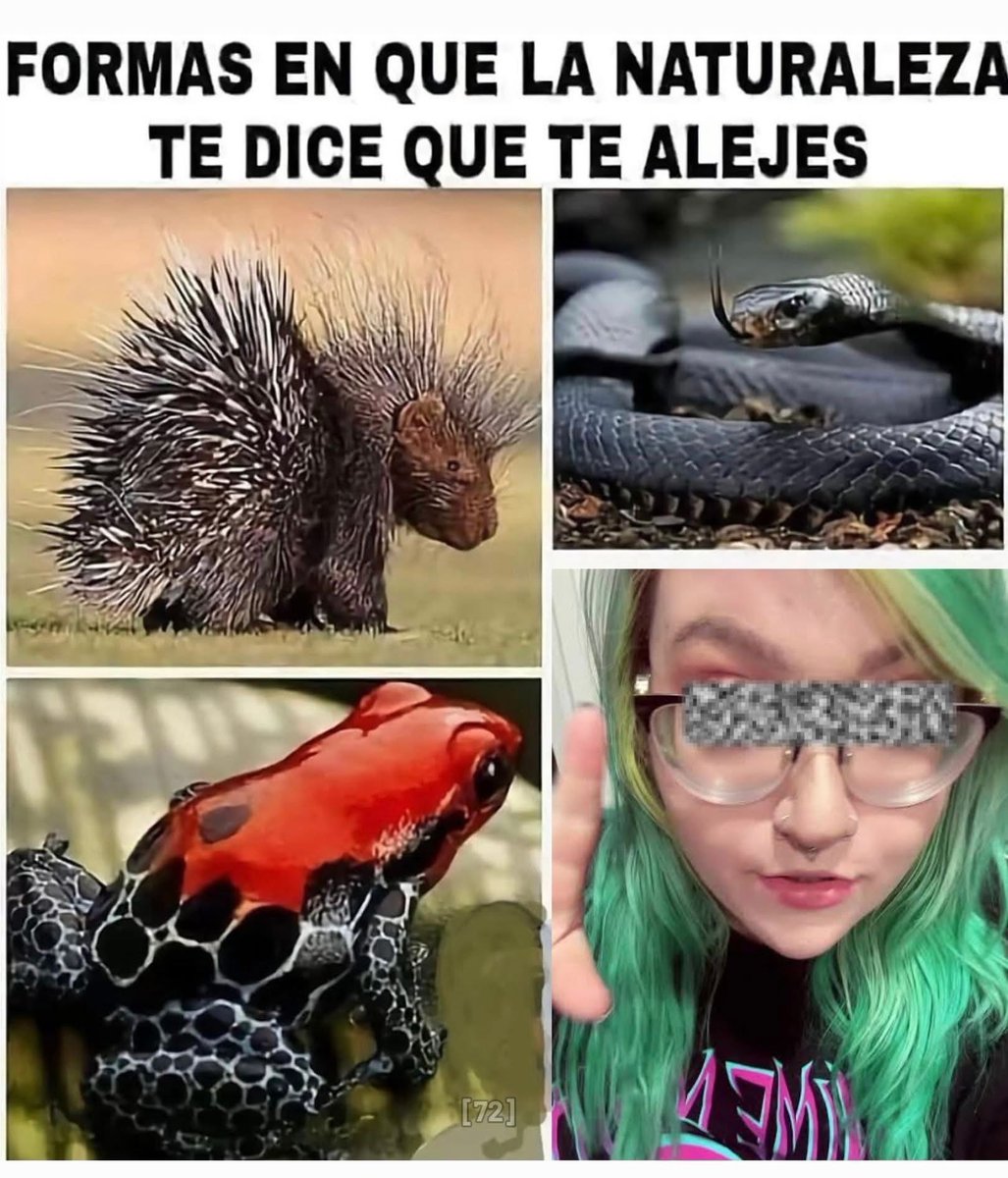 casaverde72 tweet media