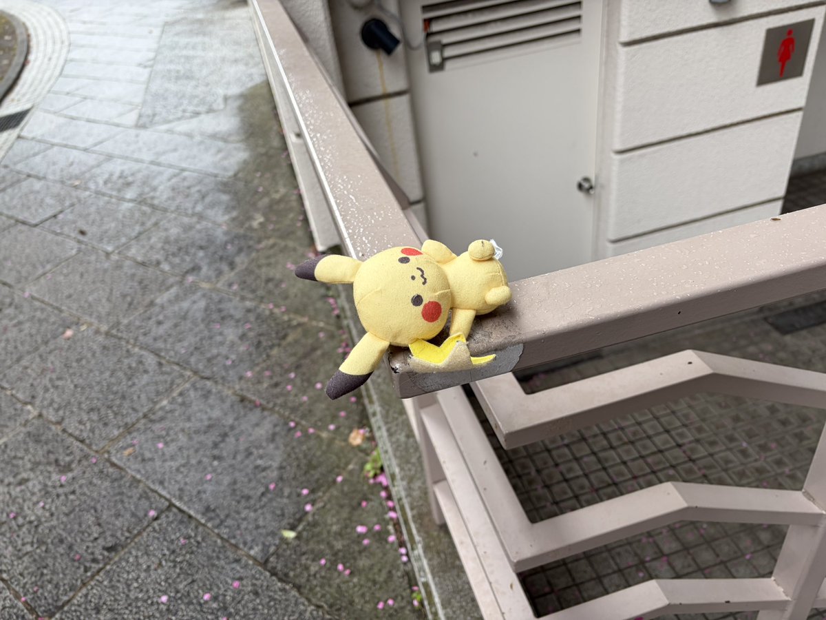 ぎのっち tweet media