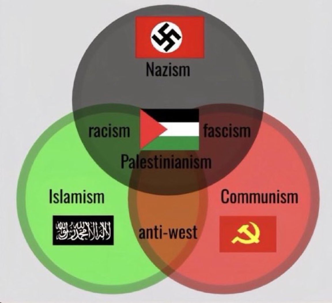 ARASH💚🤍❤️👑 🤍💙🇮🇱 tweet media