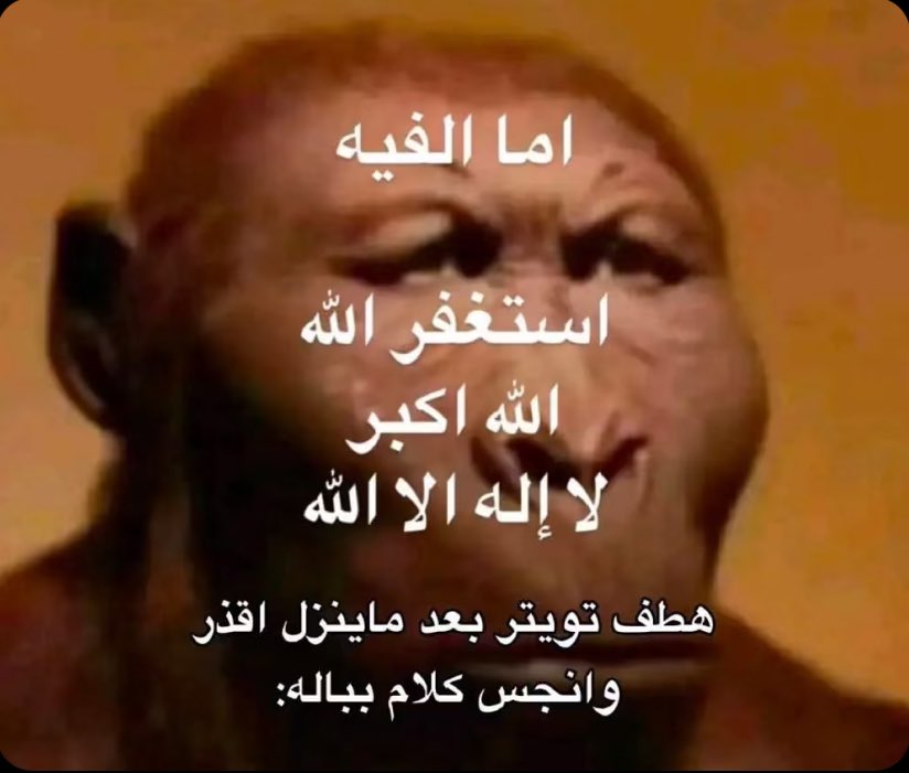 فهد  tweet media