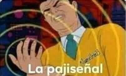 FlordeCogollo tweet media