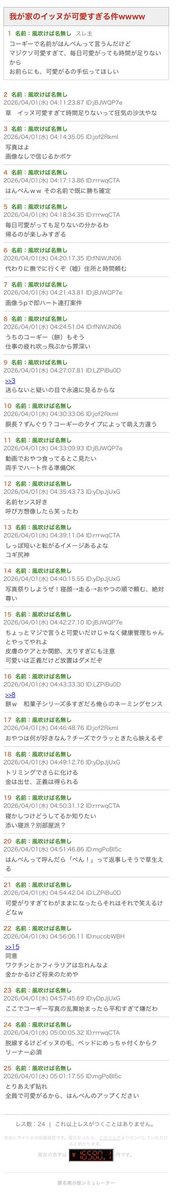 はんぺん tweet media