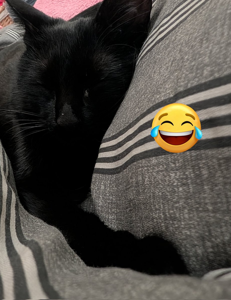 さいぼーぐぬめぬめ子(ぬまのすけぬまたろう) tweet media