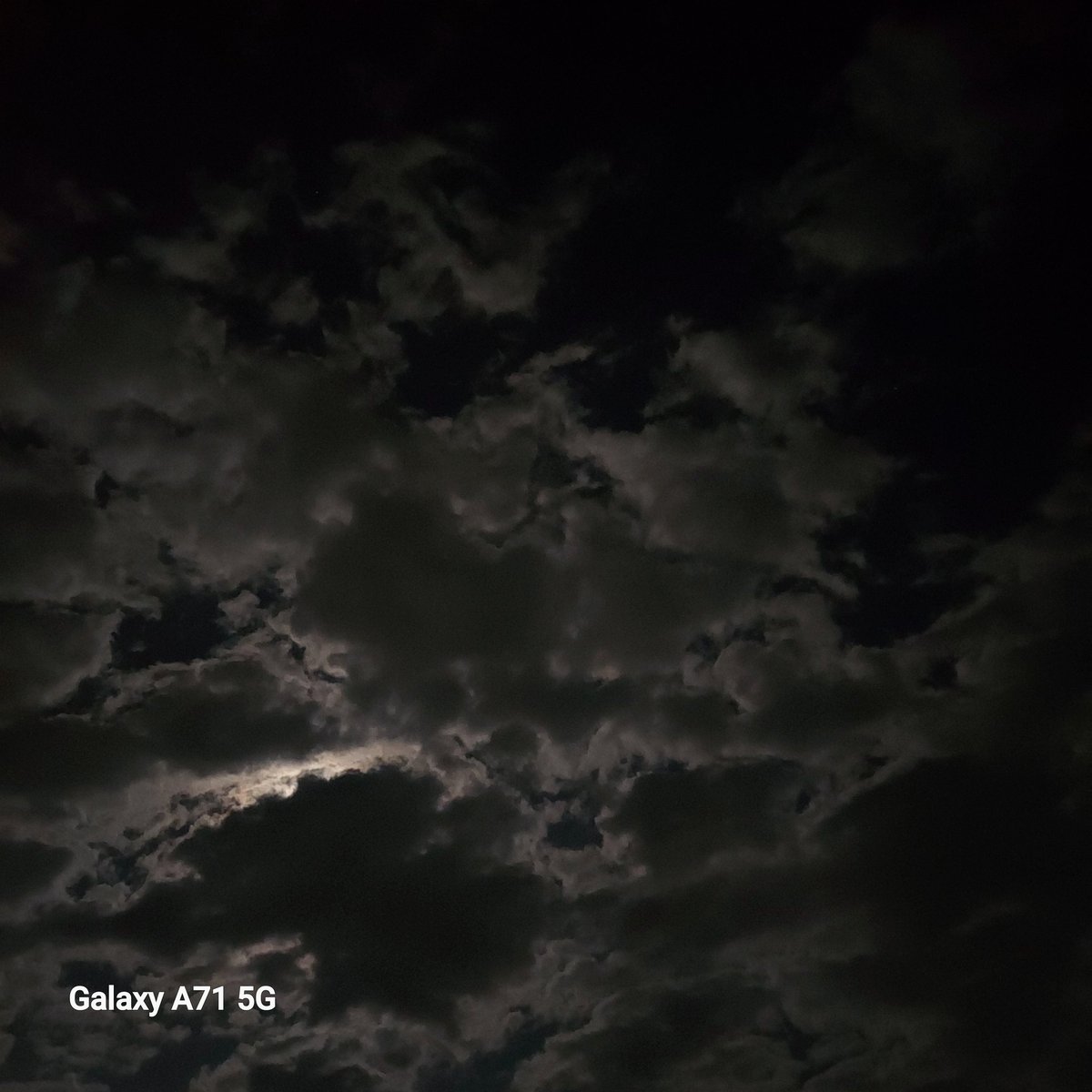 slothchan9012🦥💚🌺🌸🎧 tweet media