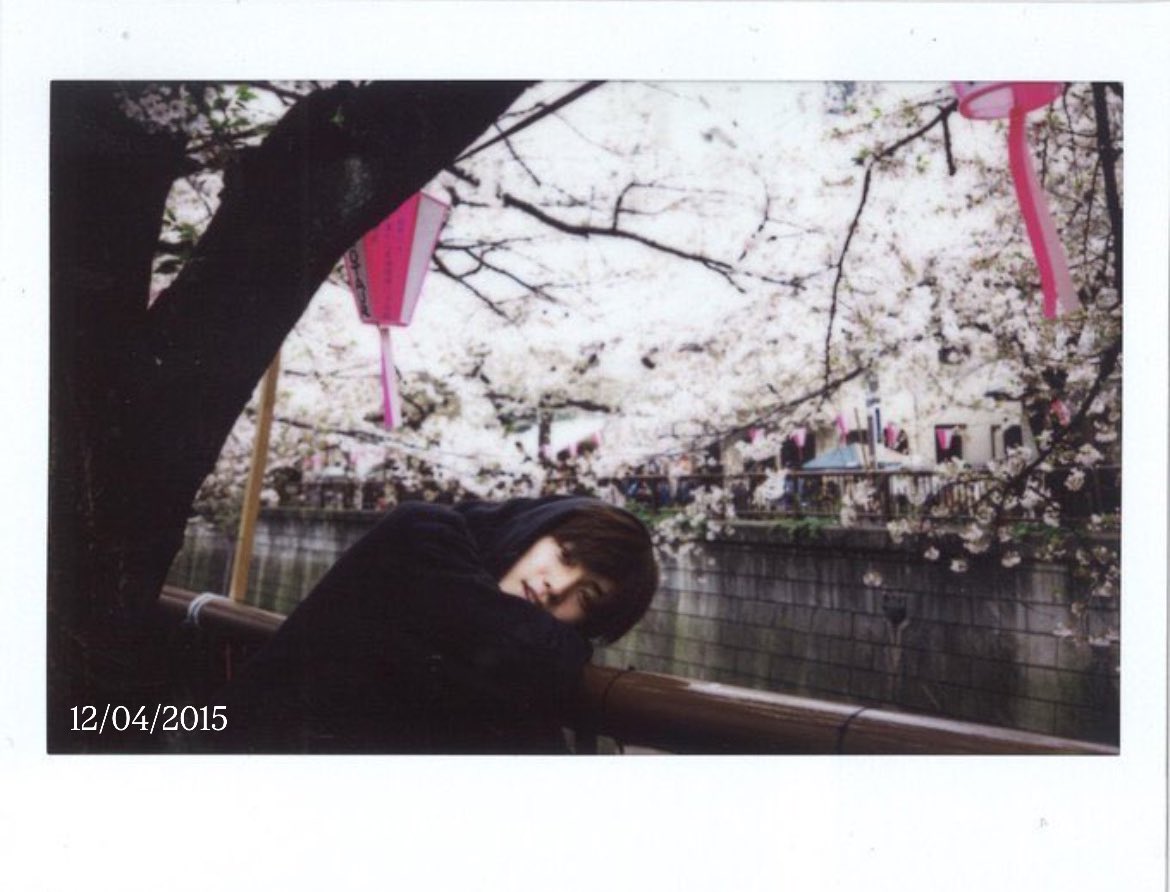 chiyoツ tweet media