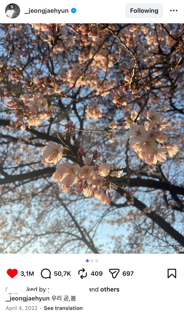 chiyoツ tweet media