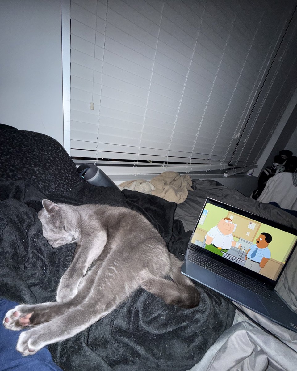 Steven DeSantis tweet media