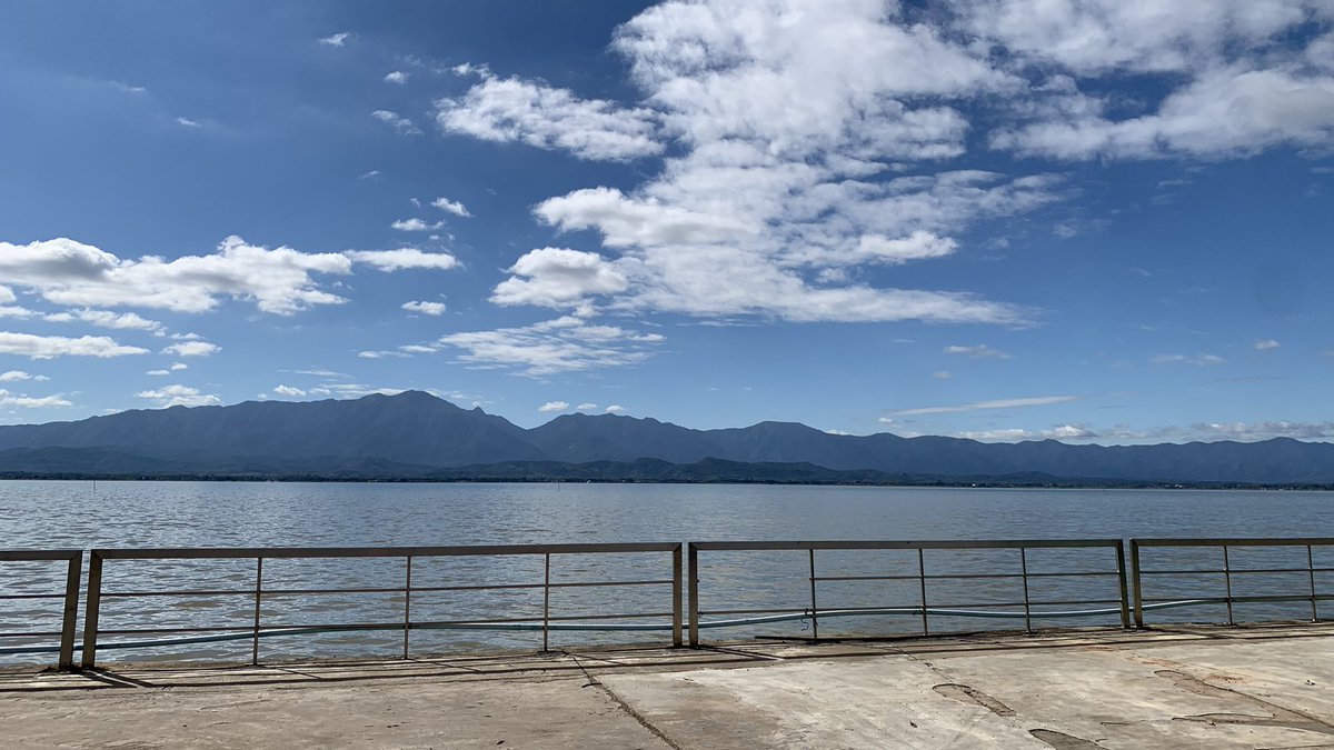 BowBear💖 tweet media