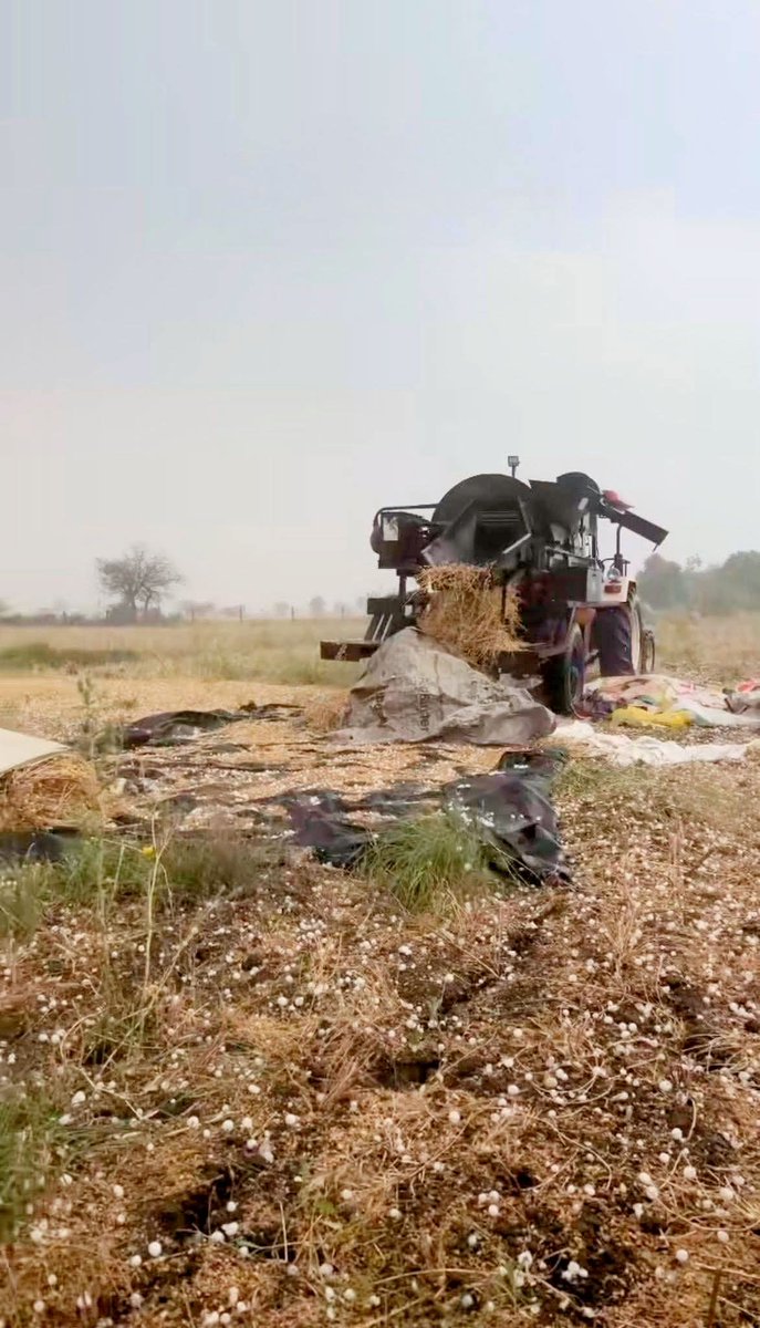 बहुत ही मार्मिक तस्वीर है। 

लेकिन ऊपर वाले के आगे कब किसकी चली है। वो जो करता है हर हाल में अच्छा करता है। वो ही देता है। वो ही लेता है। 

#किसान #फसल #गेहूँ