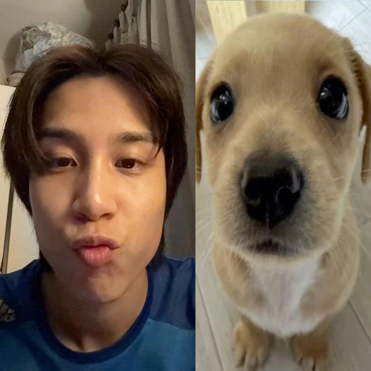 𝙅𝙞𝙨𝙖𝙣𝙜 tweet media