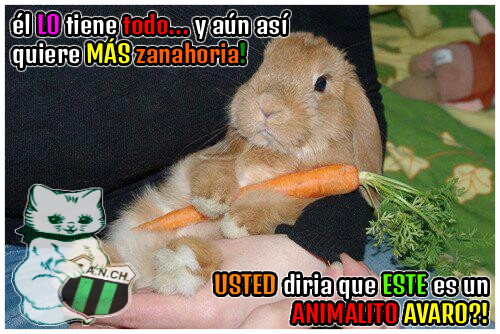 (⁠ ͡⁠°⁠ᴥ⁠ ͡⁠°⁠ ⁠ʋ⁠) tweet media