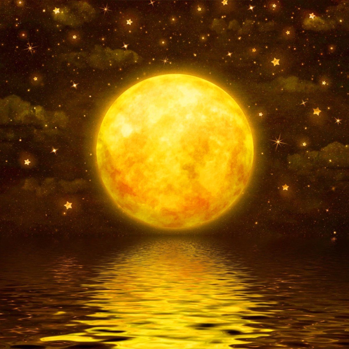 Cardinal Redbird tweet media