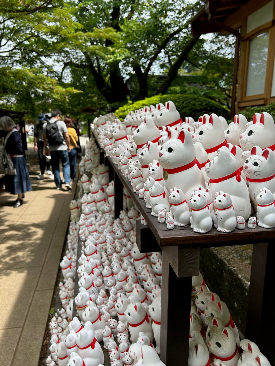 馬道ポケGO＆出陣＆NOW『土曜競馬(๑•̀д•́๑)ｷﾘｯ』＠いいね押しちゃうよ押しちゃう tweet media