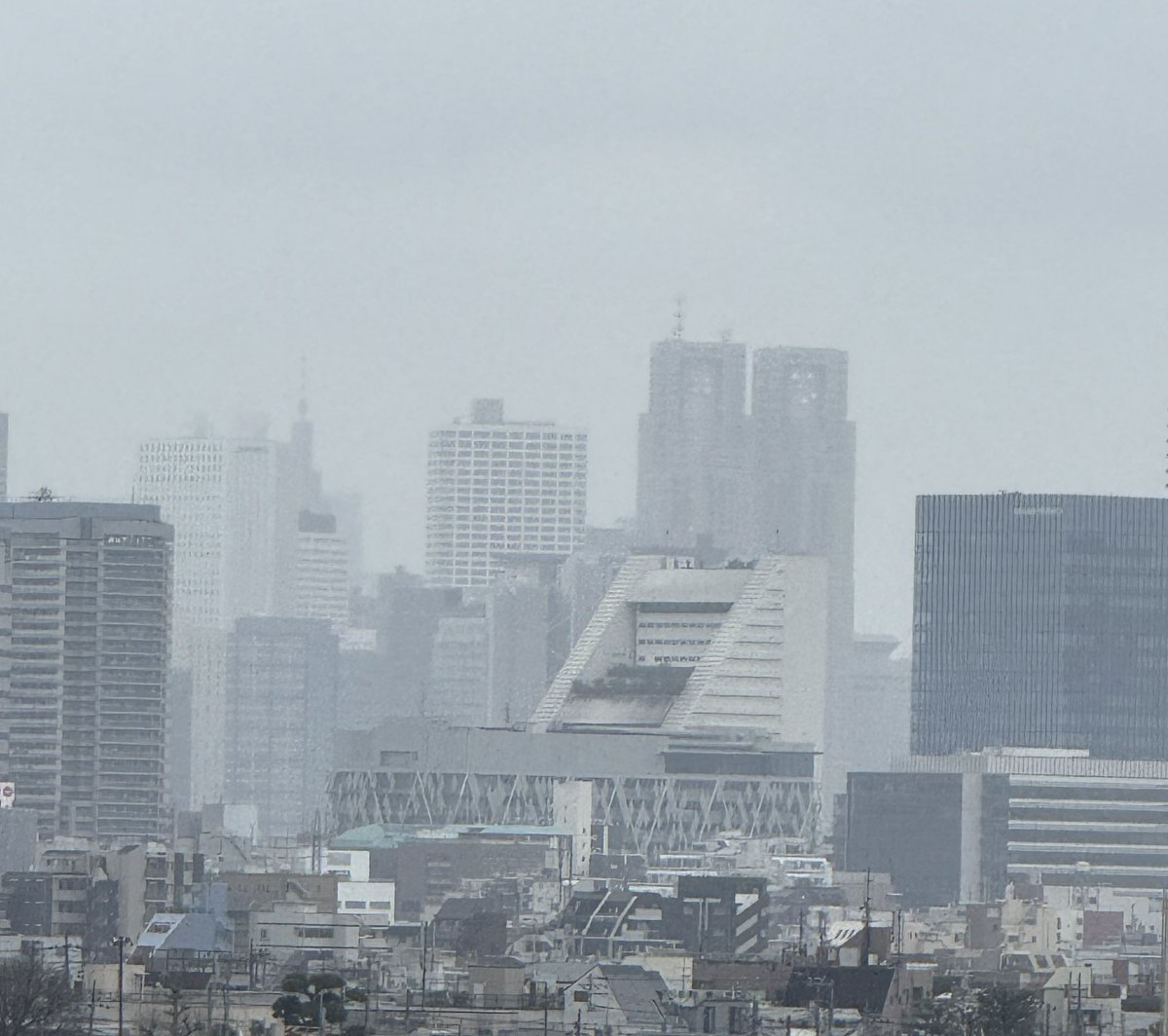 ＭＡＲＵ(祐) tweet media