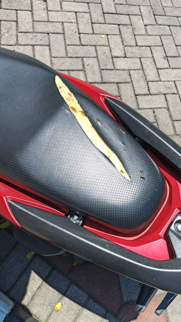 Unesa Fess tweet media