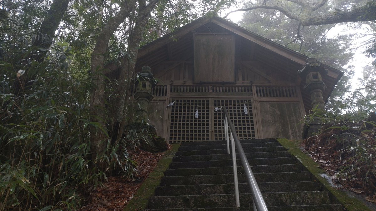 野田露簟 tweet media