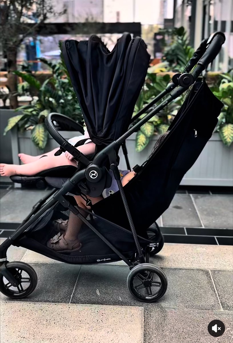 ゆきち🍿4y🦖+0m🦕 tweet media