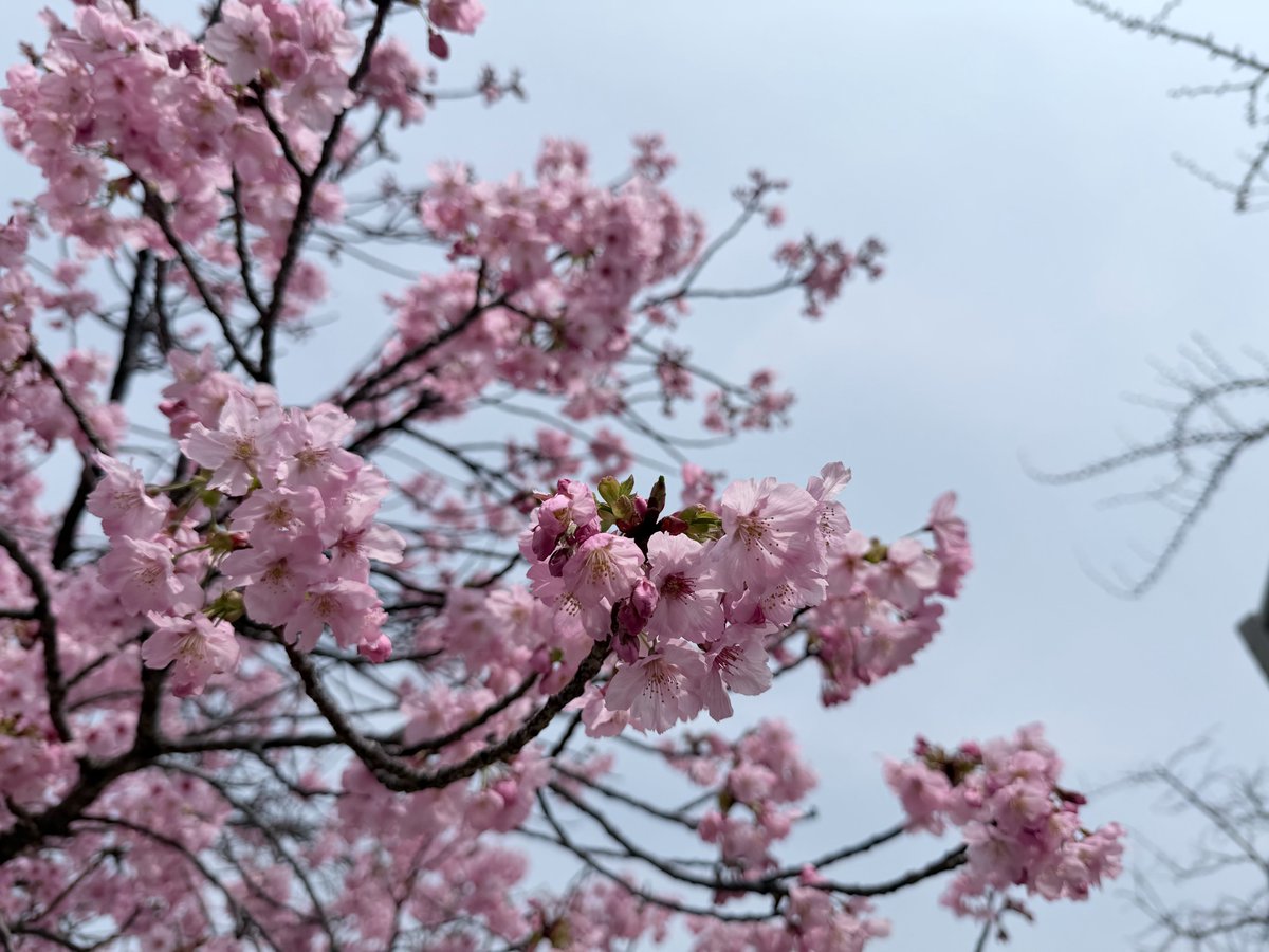 関電エネルギーソリューション　広報担当 tweet media