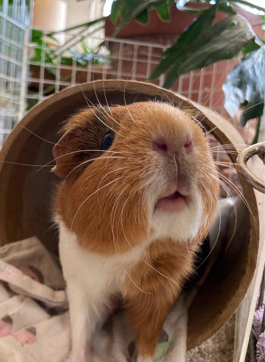 Friendly Farms tweet media