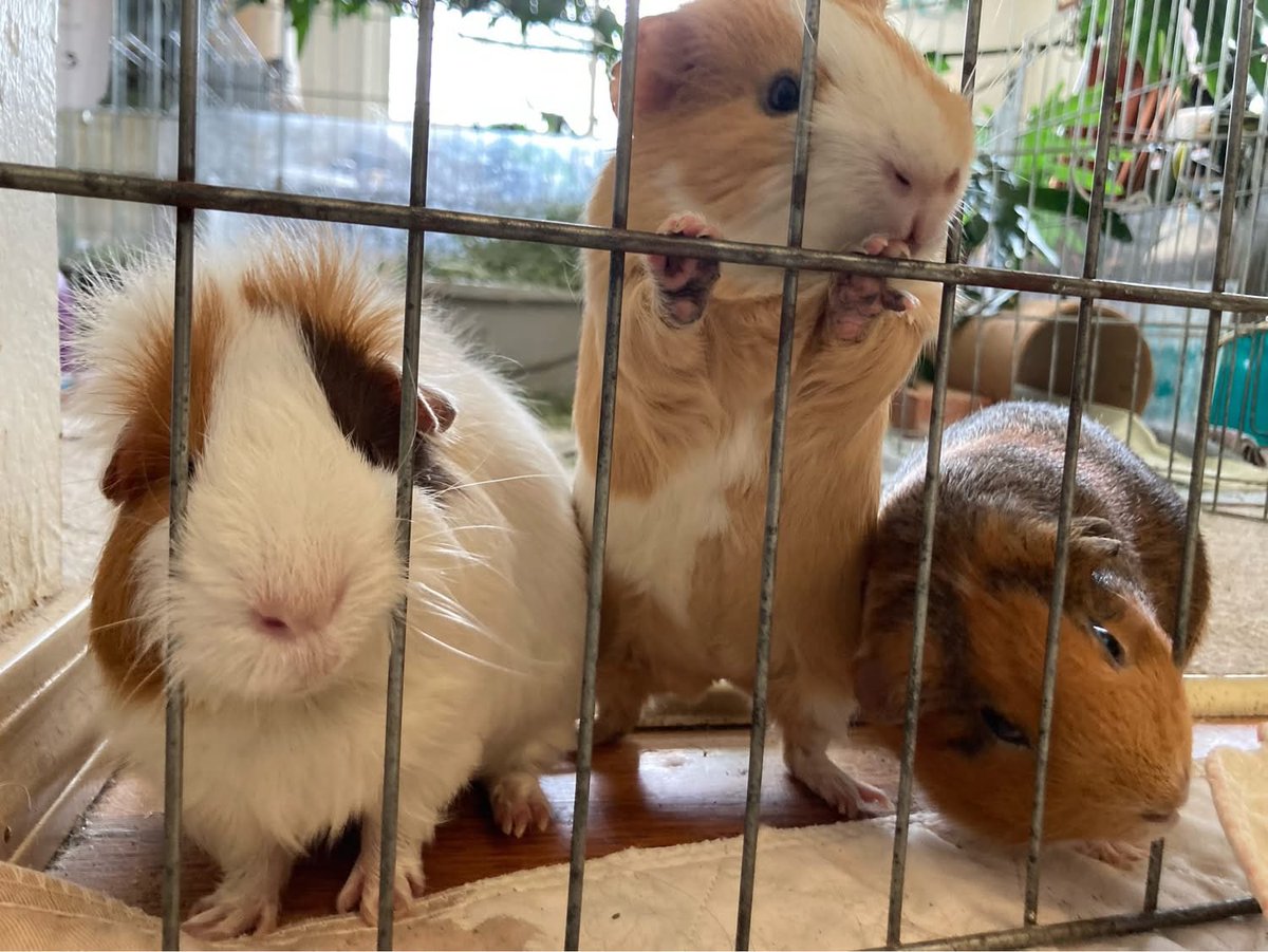 Friendly Farms tweet media