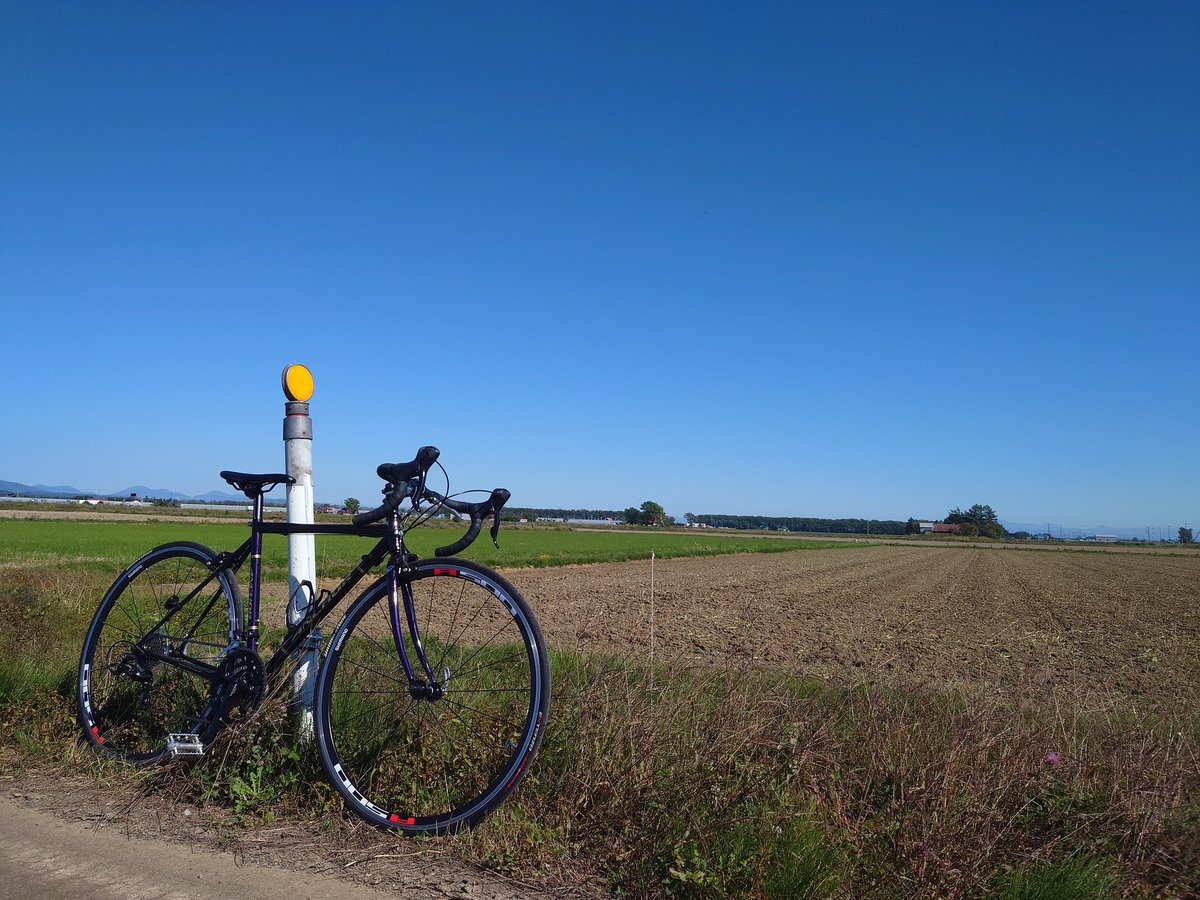 鏡月@EDFpvs運営 広報担当兼創作垢 tweet media