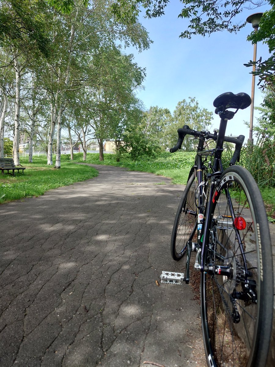 鏡月@EDFpvs運営 広報担当兼創作垢 tweet media