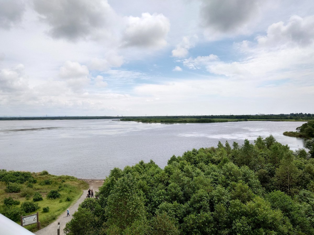 鏡月@EDFpvs運営 広報担当兼創作垢 tweet media