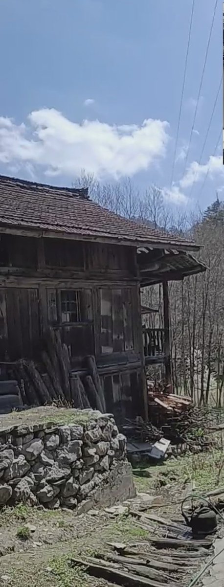 福星普照 tweet media