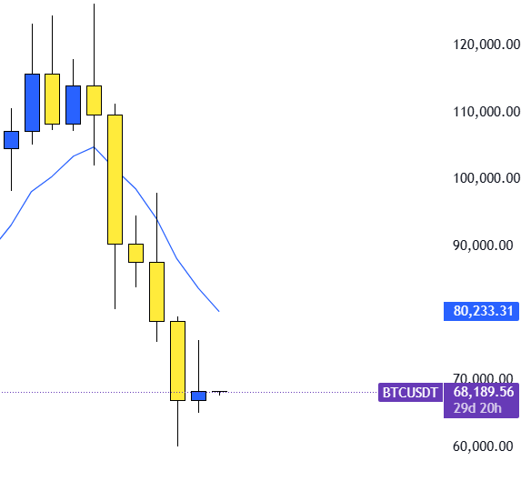 Dex 🕸️ tweet media