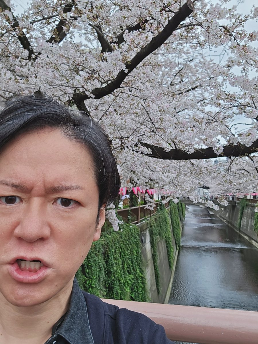 日吉 辰哉 tweet media