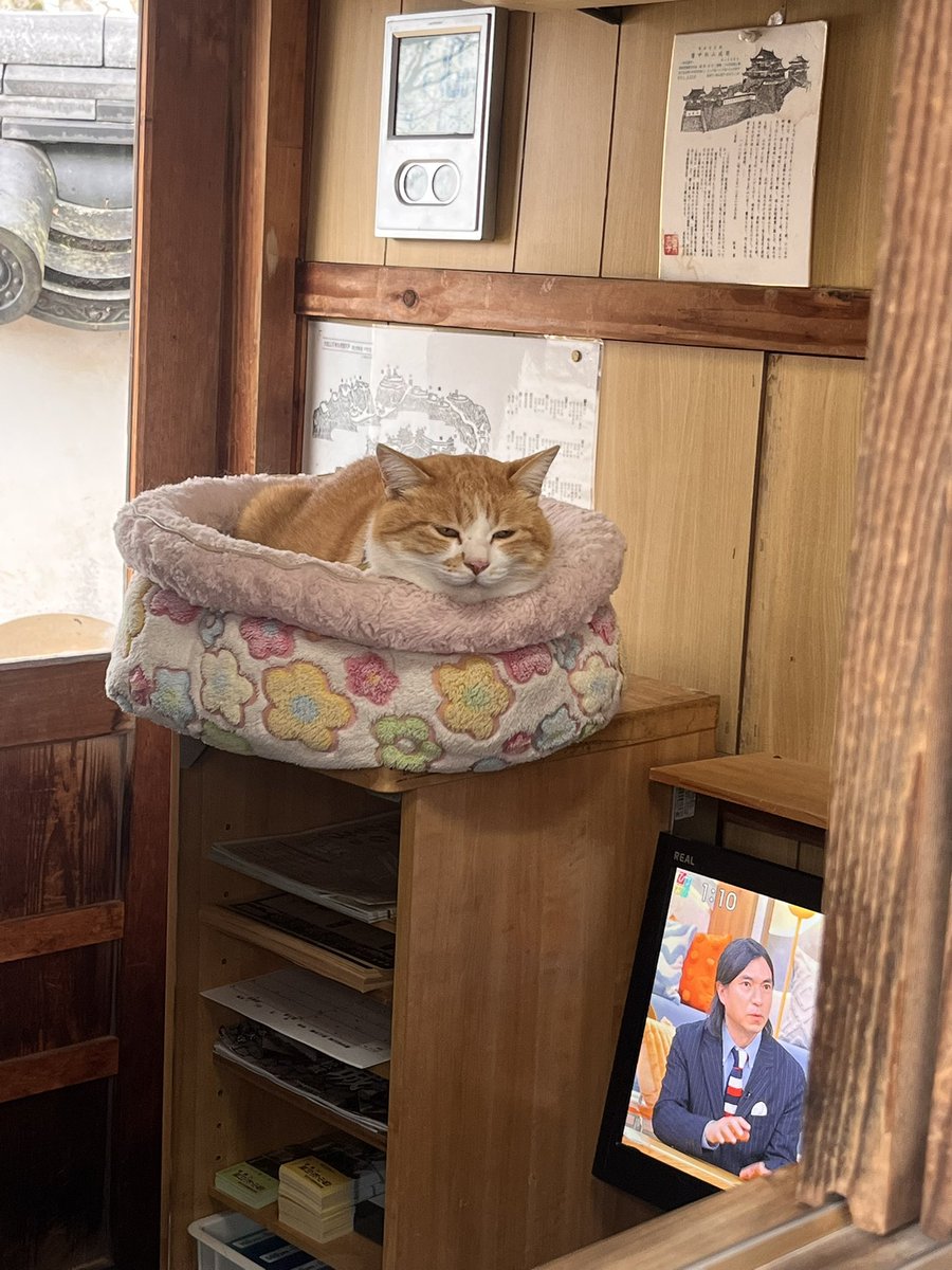 竹内一博 Kazuhiro Takeuchi tweet media