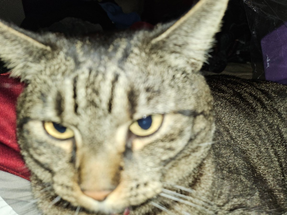 Mj Ionson tweet media