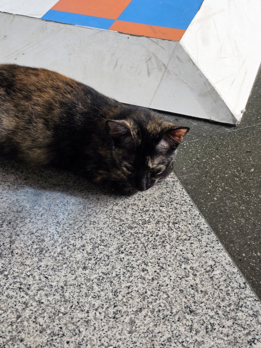 miu 👽 tweet media