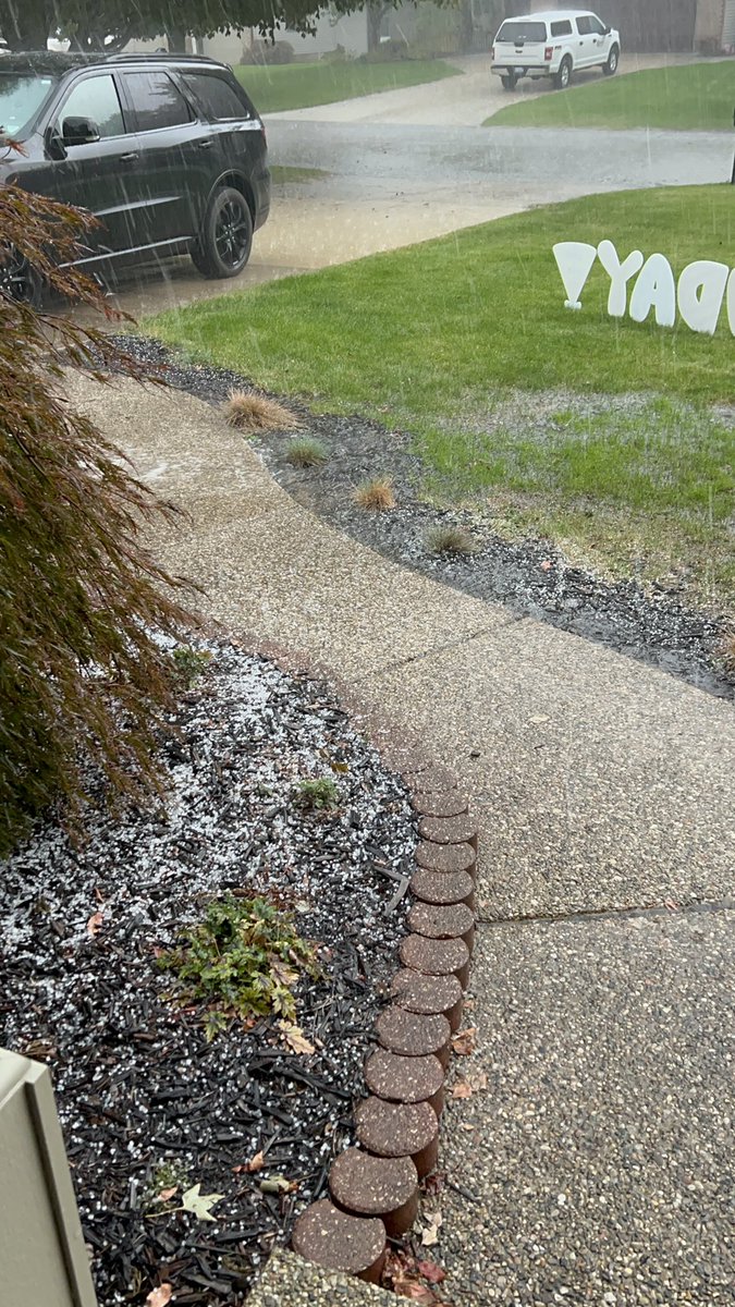 Chasing With Jenna tweet media